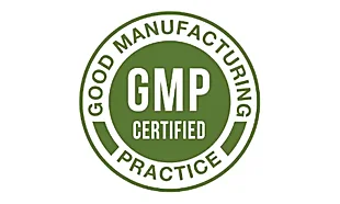 GMP Standards badge